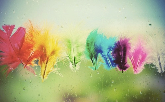 feather-3